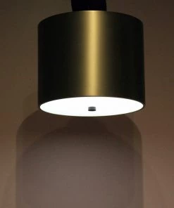 The-Golden-Triangle-India Egan Hanging Light Lights & Lamps