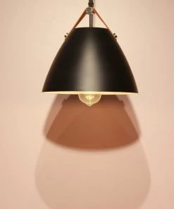 The-Golden-Triangle-India Alinta Hanging Light