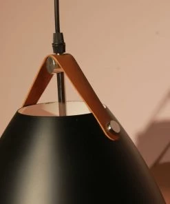 The-Golden-Triangle-India Alinta Hanging Light