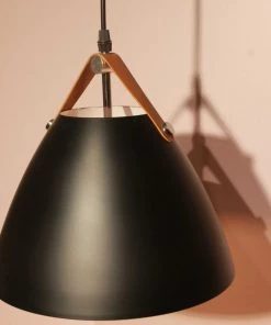 The-Golden-Triangle-India Alinta Hanging Light