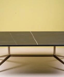 The Golden Triangle India Anton Coffee Table 13 The Golden Triangle India Anton Coffee Table