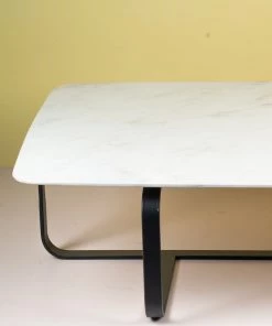 The Golden Triangle India Gasto Coffee Table