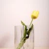 The Golden Triangle India Clear Glass Vase