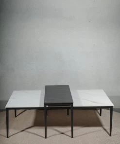 The Golden Triangle India Furniture Sloan Coffee Table - Set Of 2