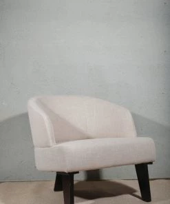 The Golden Triangle India Taurine Accent Chair Furniture