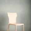 The-Golden-Triangle-India Furniture Walter Dining Chair - Nude
