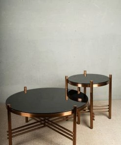 The Golden Triangle India Selena Coffee Table - Set Of 2 Furniture