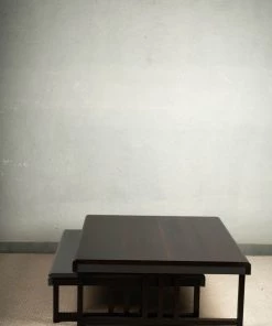 The Golden Triangle India Furniture Ida Nesting Coffee Table - Set Of 2