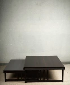 The Golden Triangle India Furniture Ida Nesting Coffee Table - Set Of 2