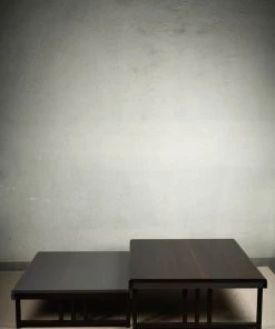 The Golden Triangle India Furniture Ida Nesting Coffee Table - Set Of 2