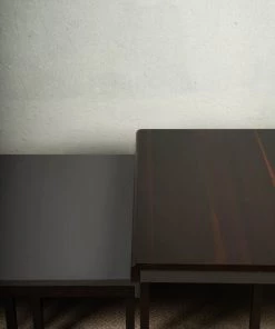 The Golden Triangle India Furniture Ida Nesting Coffee Table - Set Of 2