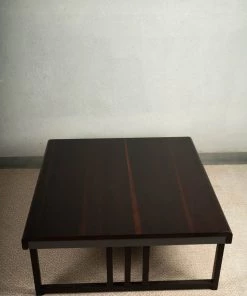 The Golden Triangle India Furniture Ida Nesting Coffee Table - Set Of 2