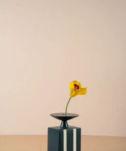 The Golden Triangle India Vases Funnel Matte Short Vase