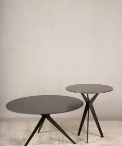 The Golden Triangle India Noah Nesting Coffee Table - Set Of 2