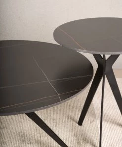 The Golden Triangle India Noah Nesting Coffee Table - Set Of 2