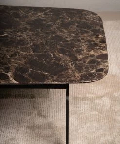 The Golden Triangle India Felip Rectangular Coffee Table Furniture