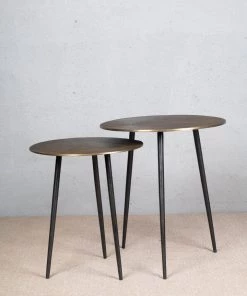 The-Golden-Triangle-India Trevion - Nesting Table (set Of 2)