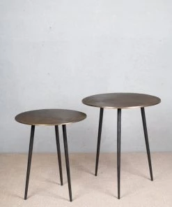 The-Golden-Triangle-India Trevion - Nesting Table (set Of 2)