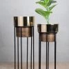 The-Golden-Triangle-India Arzola Two Tone Planter