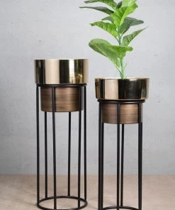 The-Golden-Triangle-India Arzola Two Tone Planter