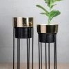 The-Golden-Triangle-India Planters Arzola Two Tone Planter - Black & Gold