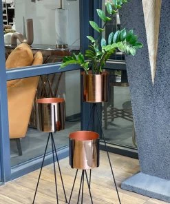 The-Golden-Triangle-India Coil Planter - Rosegold Planters