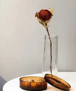 The-Golden-Triangle-India Zien | Brown Glass Nut Bowl With A Lid - Medium