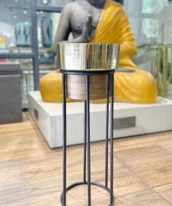 The-Golden-Triangle-India Arzola Two Tone Planter