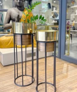 The-Golden-Triangle-India Arzola Two Tone Planter